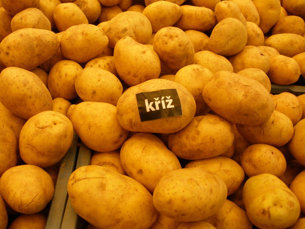 Kříž